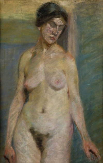 Desnudo de pie de Ivan Zabota